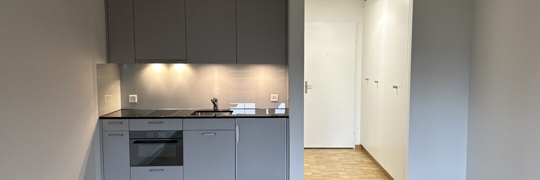 Sanierung 3.5 + 1.5- Zi. Wohnungen, Hochdorf